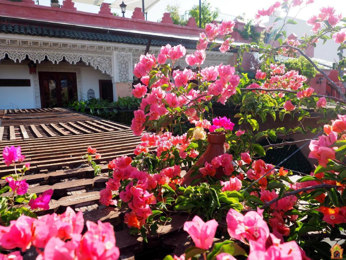 Riad Toyour- Riad Of Birds Fez Buitenkant foto