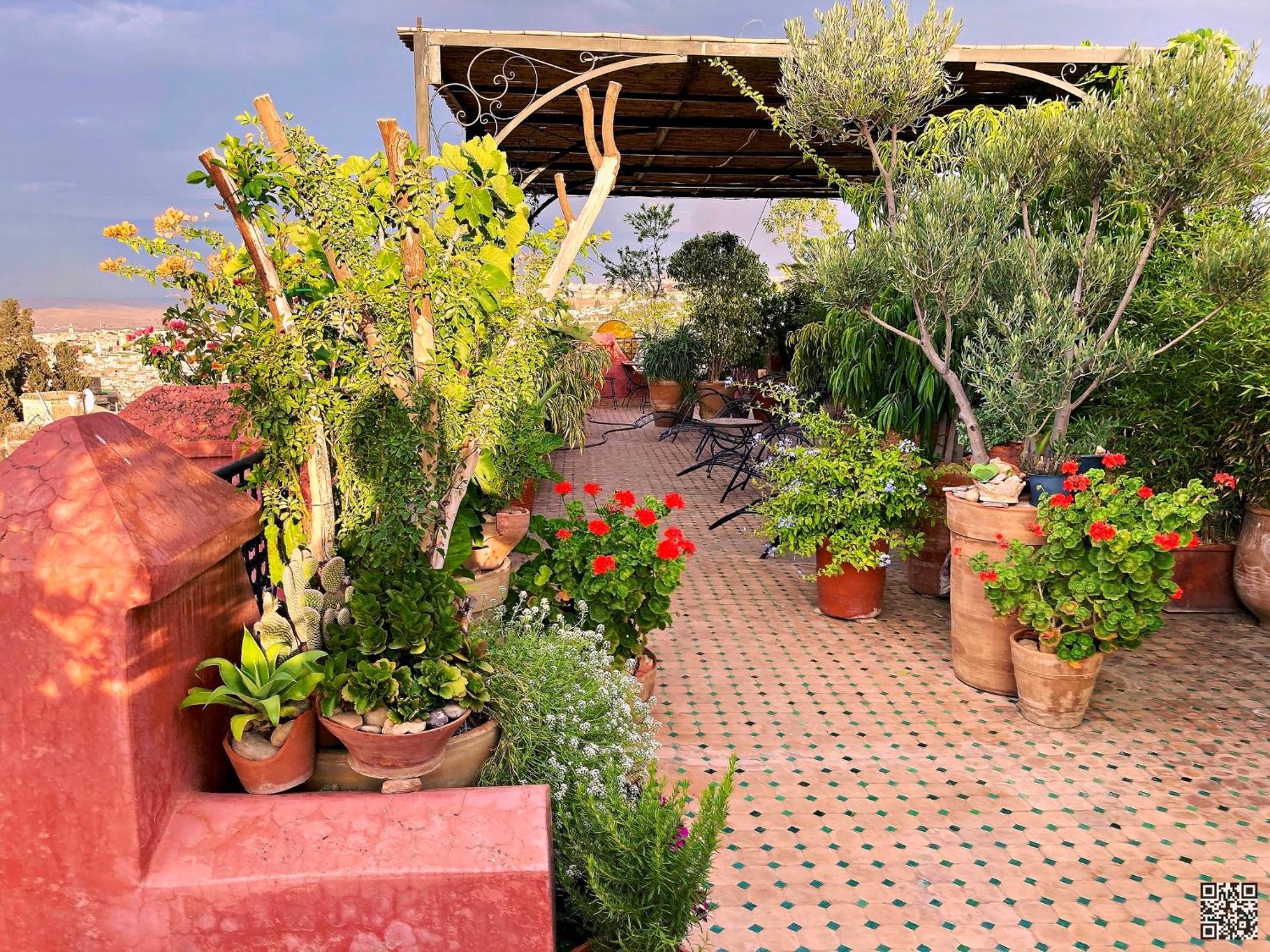 Riad Toyour- Riad Of Birds Fez Buitenkant foto