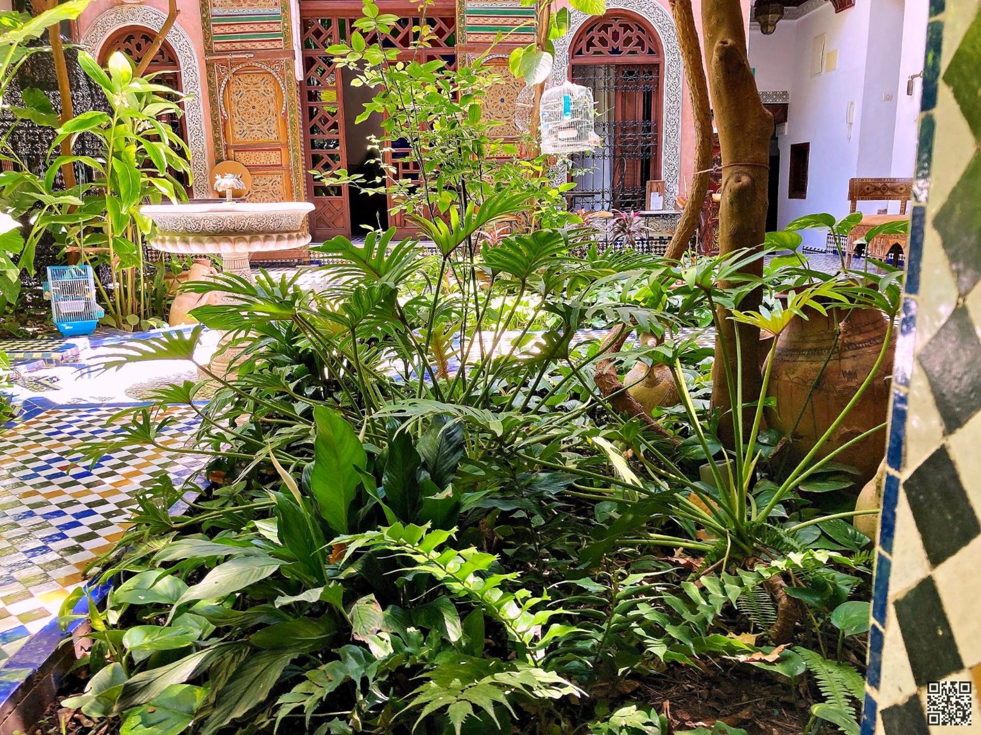 Riad Toyour- Riad Of Birds Fez Buitenkant foto
