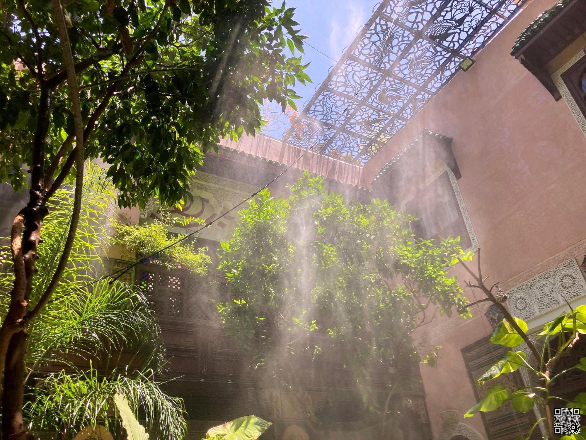 Riad Toyour- Riad Of Birds Fez Buitenkant foto