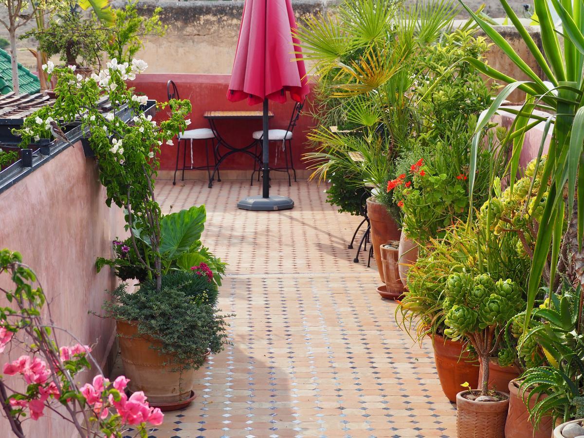 Riad Toyour- Riad Of Birds Fez Buitenkant foto