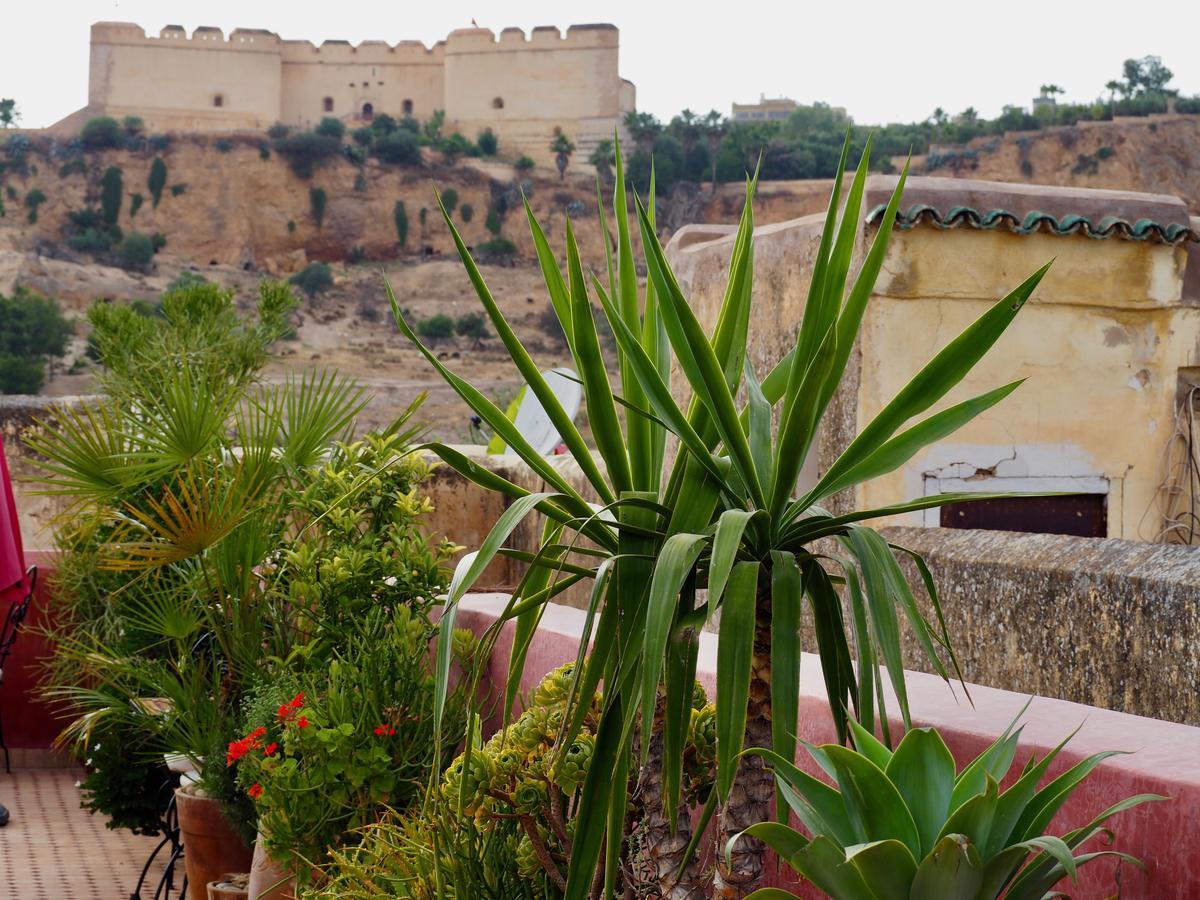 Riad Toyour- Riad Of Birds Fez Buitenkant foto